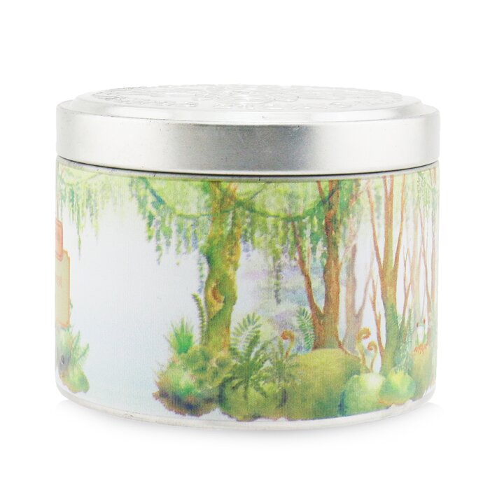 The CANDLE COMPANY (CARROLL & CHAN) - 100% Beeswax Tin Candle - Tropical Forest