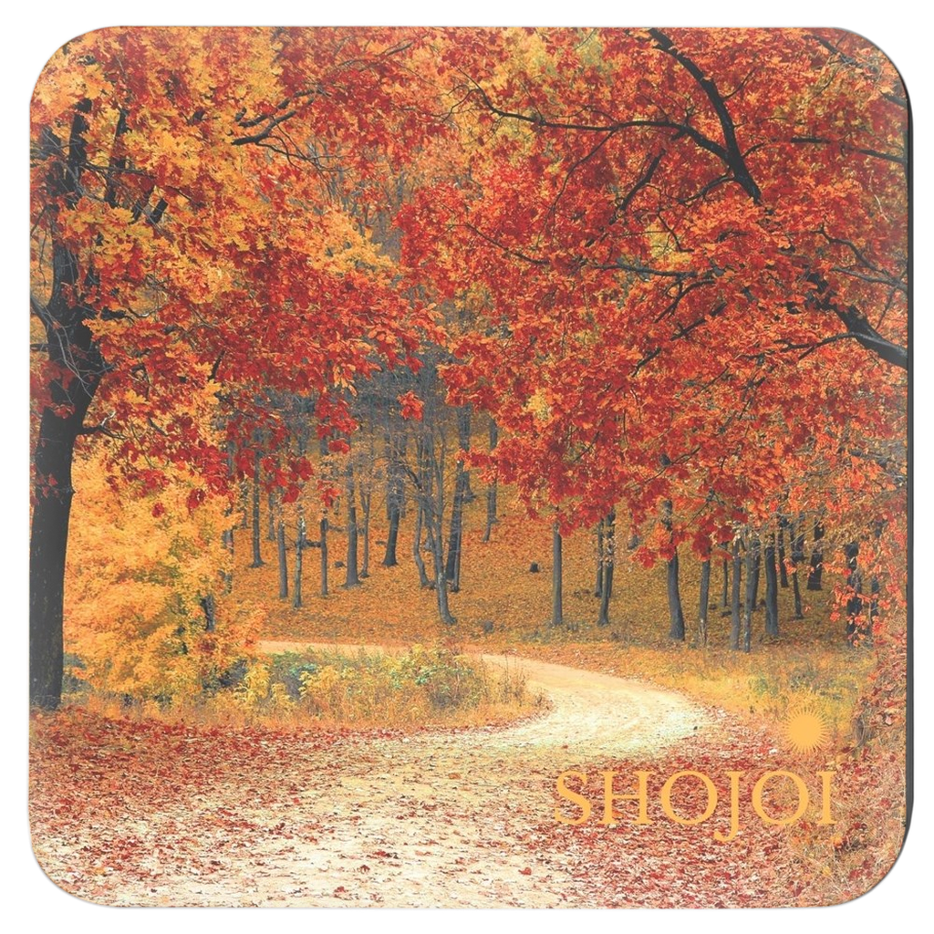 Fall landscapes coaster set