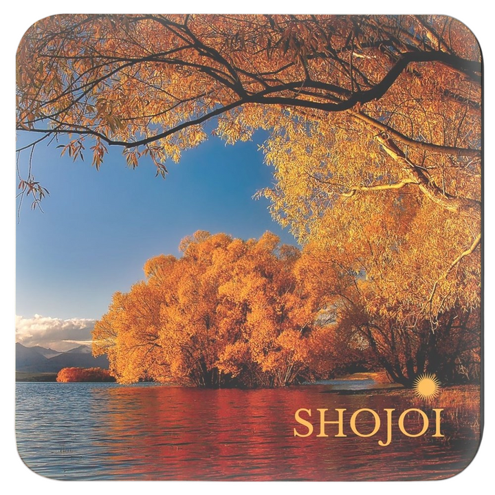 Fall landscapes coaster set