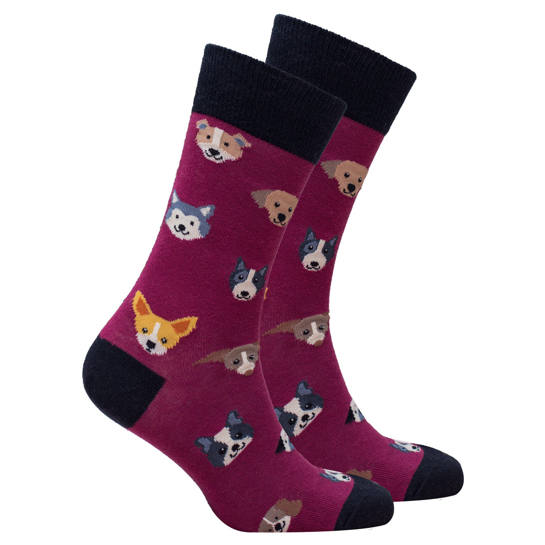 Mens cute dogs socks